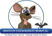 Houston Texas Rodent Removal image 4